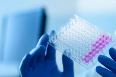 Laboratory2